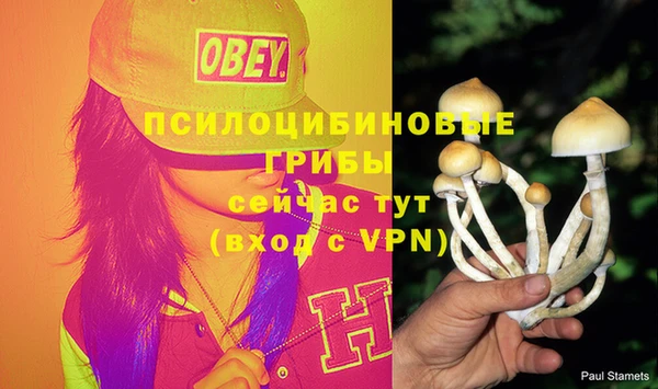 MDMA Саяногорск