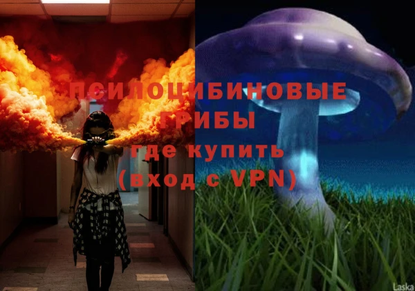 a pvp Алзамай