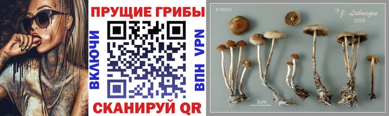 Псилоцибиновые грибы мухоморы  Нефтекамск 